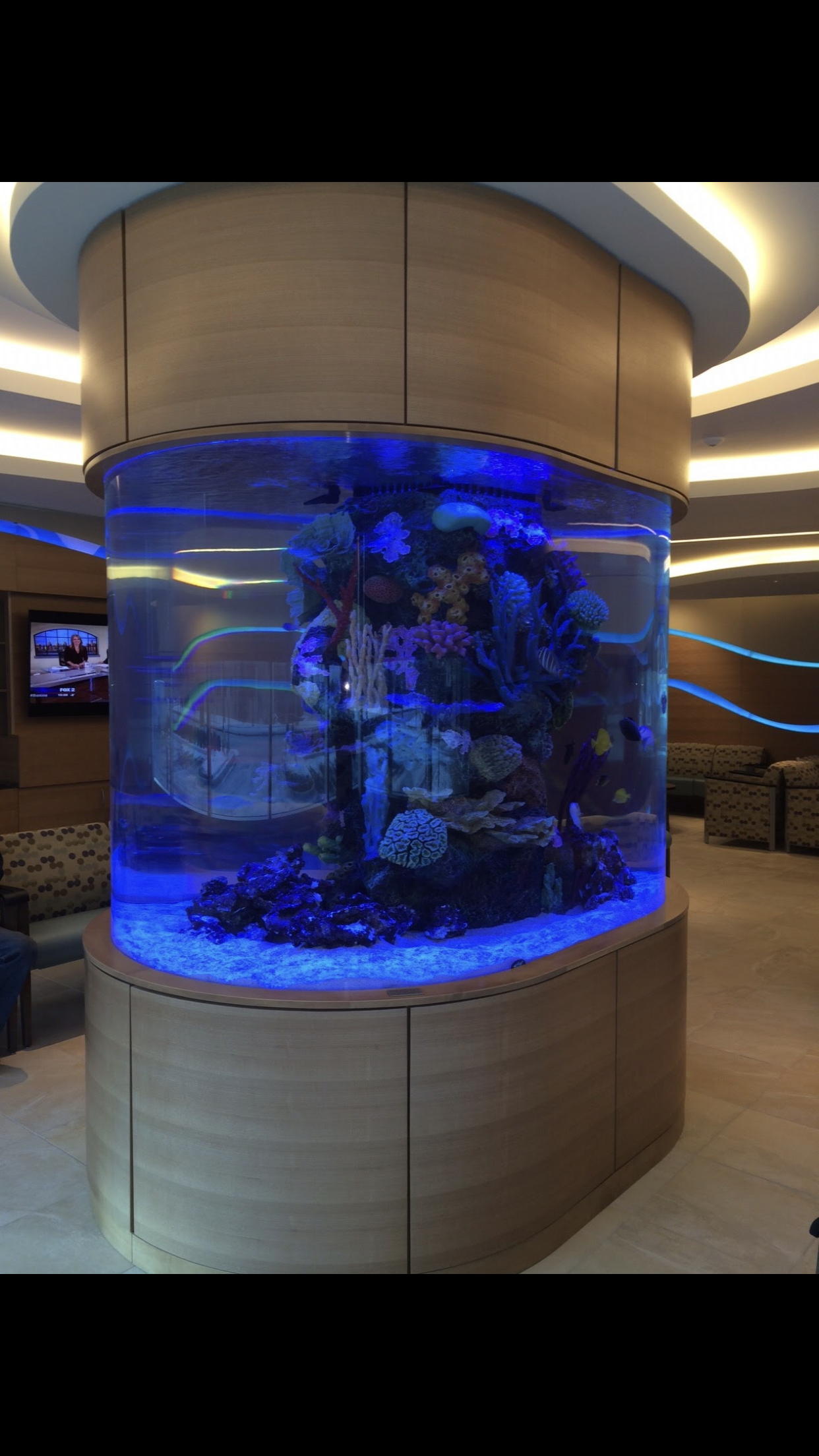 Fish Insert 1100 saltwater coral insert | Aquarium Shine
